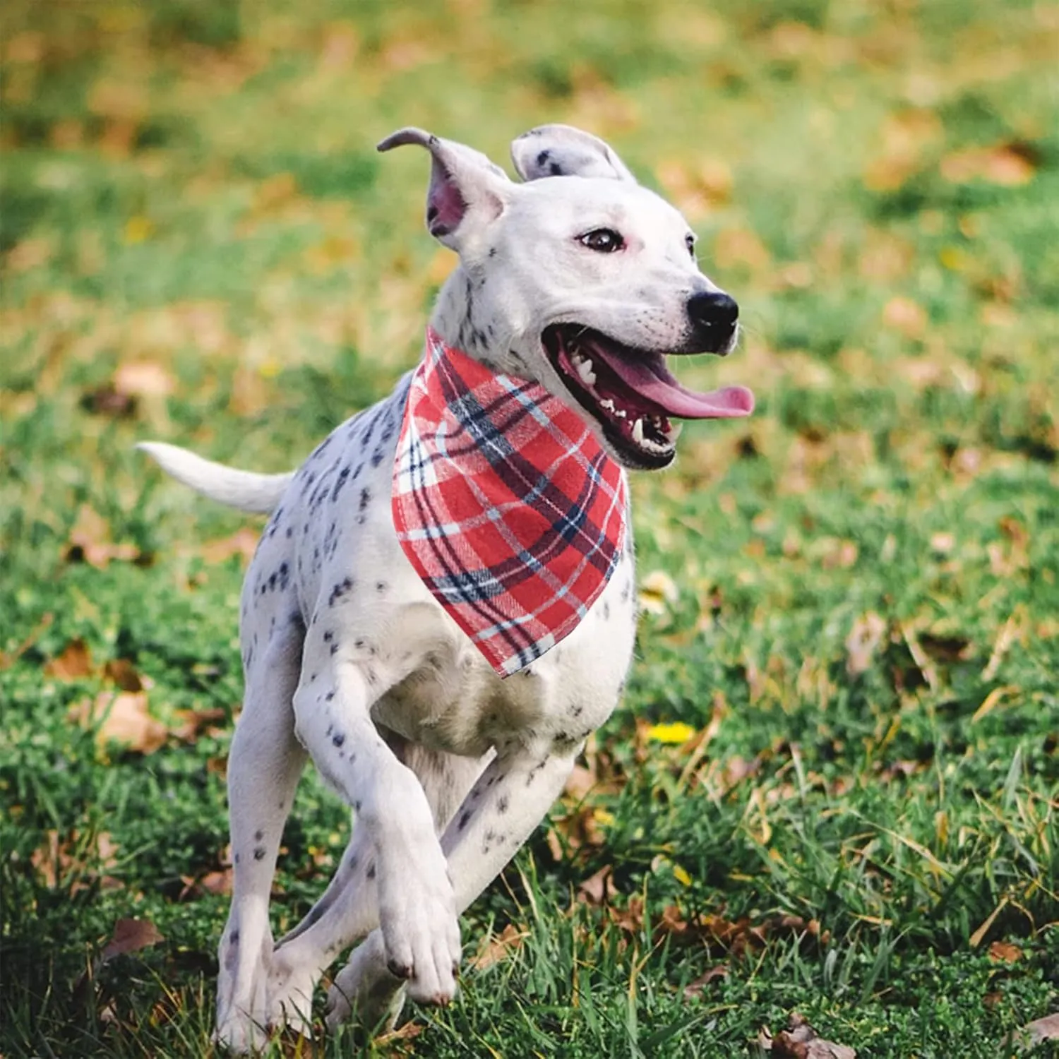 PET SHOW 50pcs Bulk Plaid Small Dog Bandanas Female Male Cat Puppies Bibs Washable Cotton Triangle Head Scarfs Wholesale Medium Dogs Bandana Photo Prop Grooming Accessories