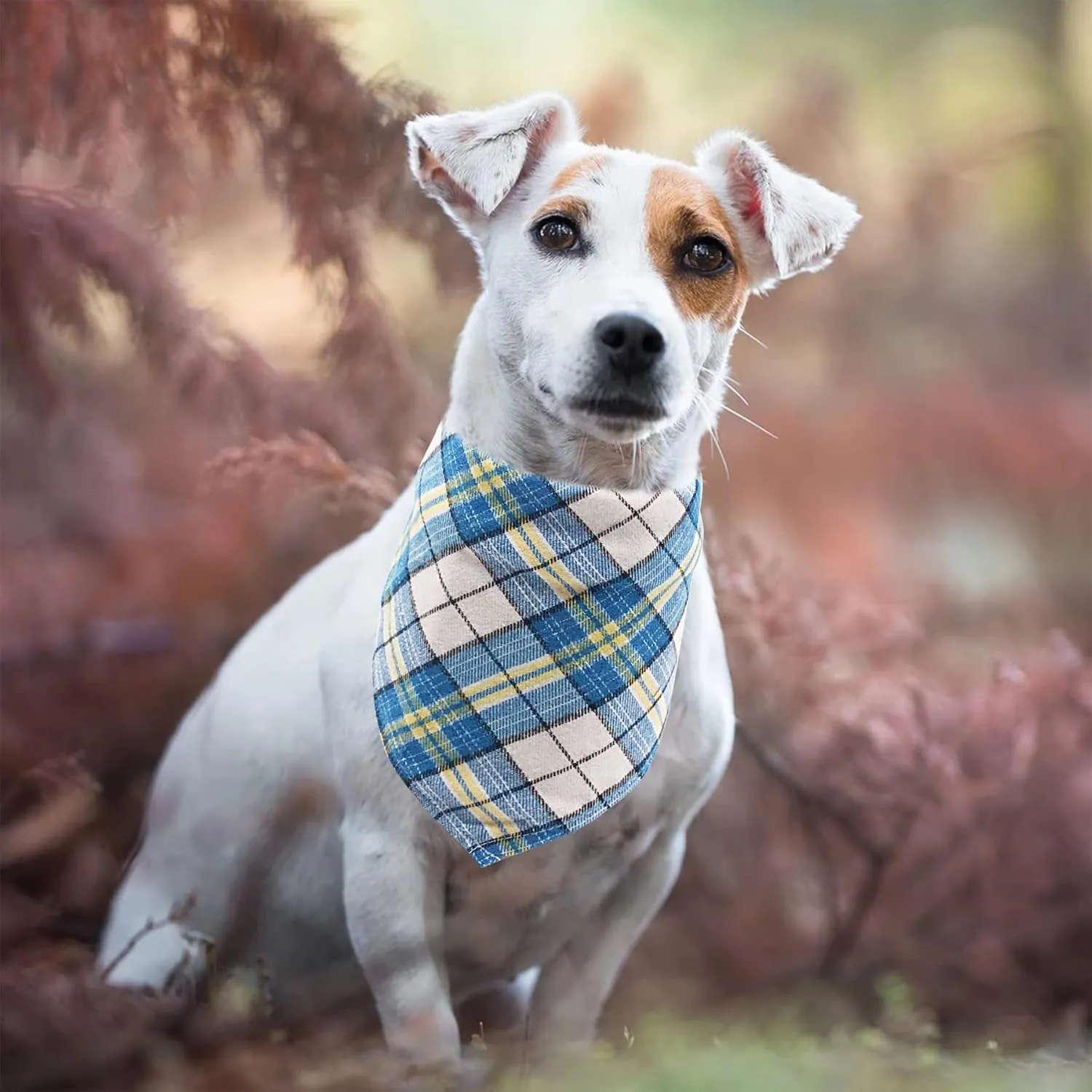 PET SHOW 50pcs Bulk Plaid Small Dog Bandanas Female Male Cat Puppies Bibs Washable Cotton Triangle Head Scarfs Wholesale Medium Dogs Bandana Photo Prop Grooming Accessories