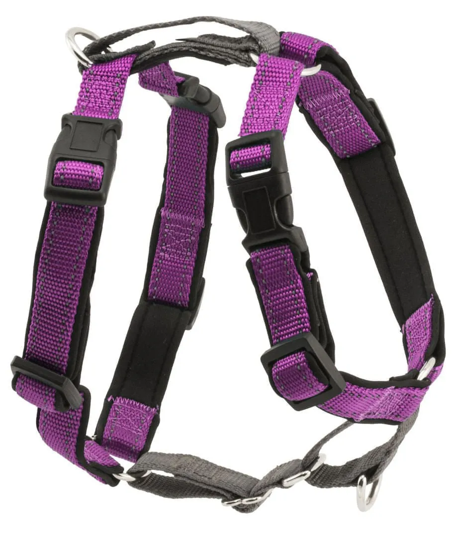 PetSafe 3-in-1 Harness