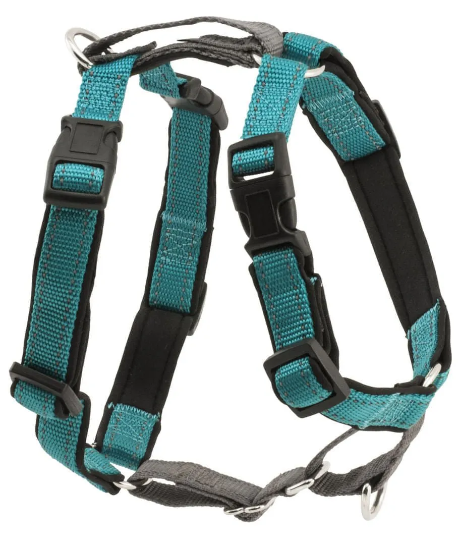 PetSafe 3-in-1 Harness