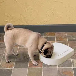 Petsafe 5 Meal Feeder