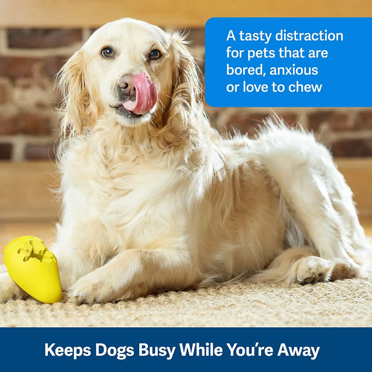 PetSafe Busy Buddy Frosty Cone