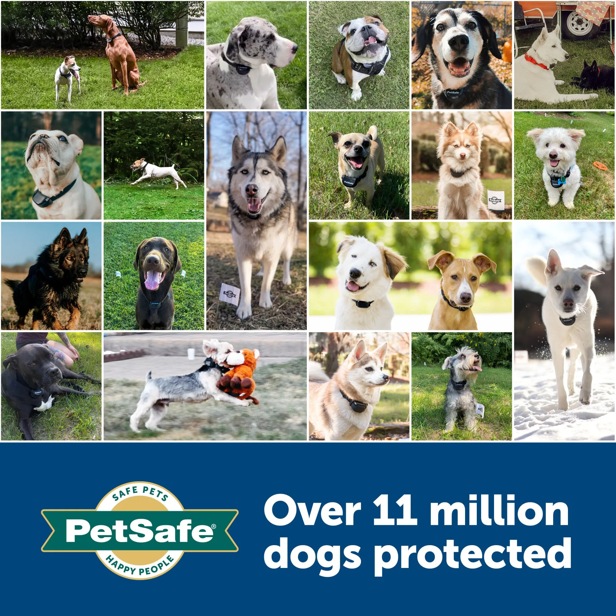 PetSafe® Extra In-Ground Dog Fence™ Boundary Wire & Training Flags