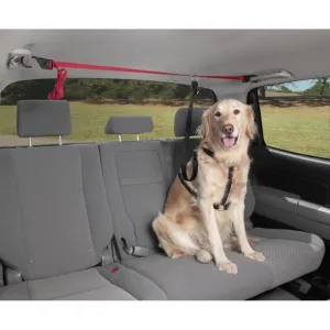 Petsafe Happy Ride Dog Zipline Dog