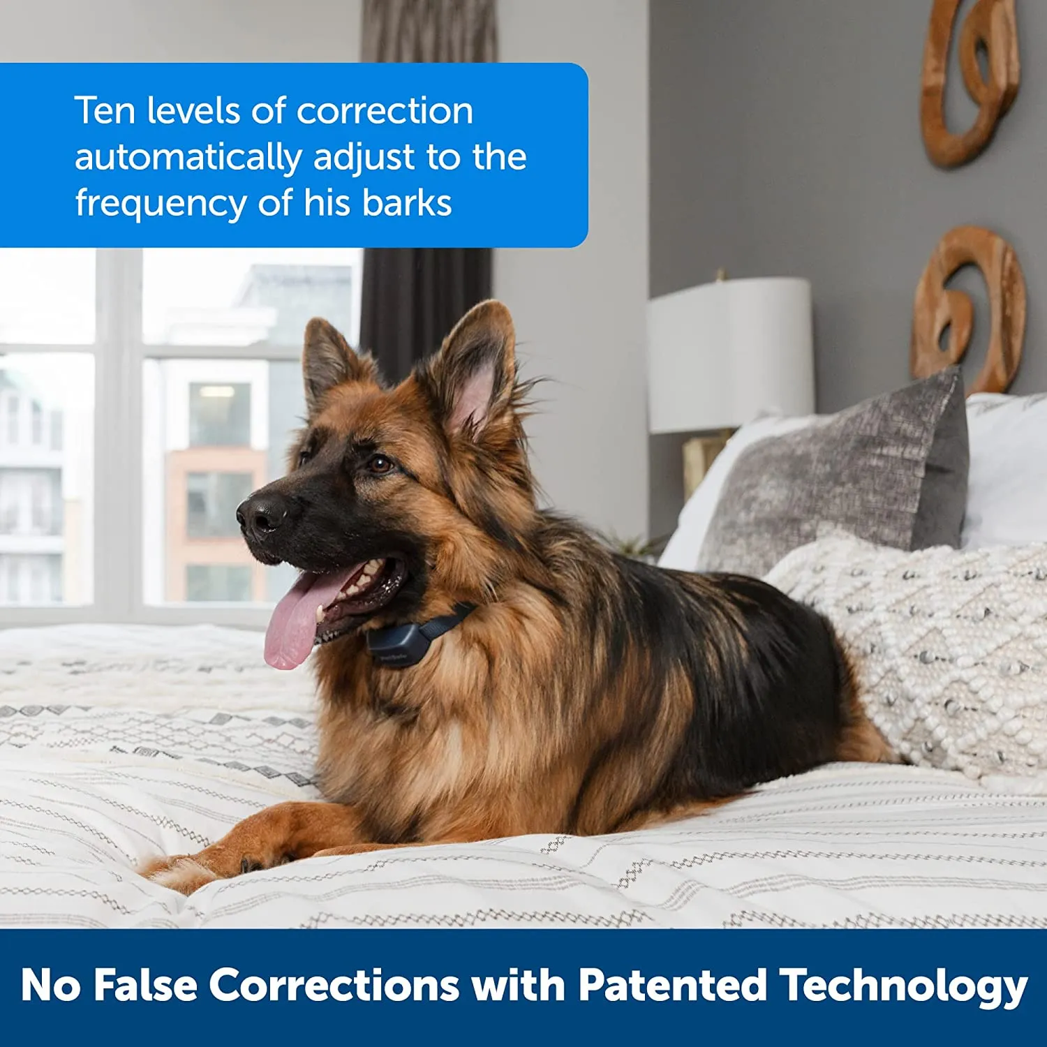 Petsafe Petsafe Audible Bark Collar