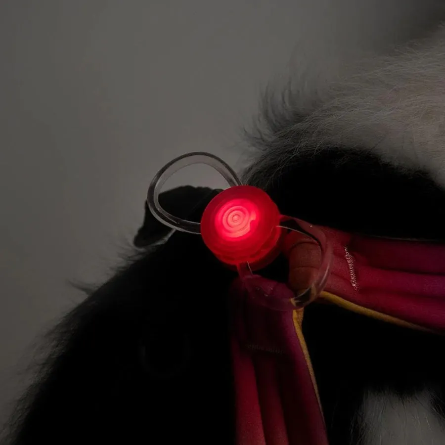Pidan Dog Safety Light