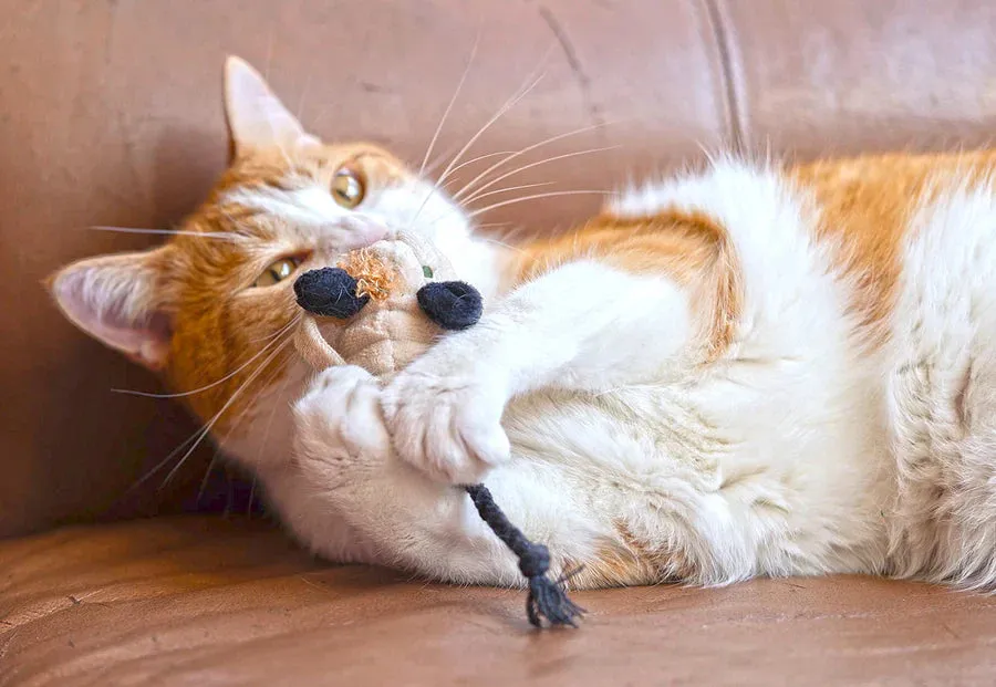 PLAY Cat Toy Feline Frenzy Halloween Menacing Mice