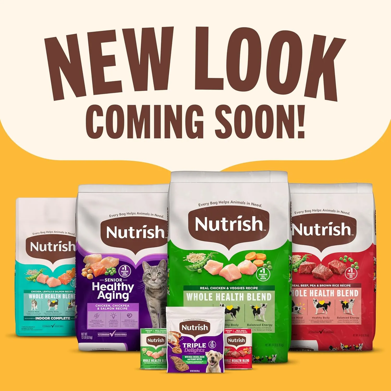 Rachael Ray Nutrish Dish Premium Natural Dry Dog Food with Added Vitamins, Minerals & Taurine, Beef & Brown Rice Recipe with Veggies, Fruit & Chicken, 23 Pound Bag