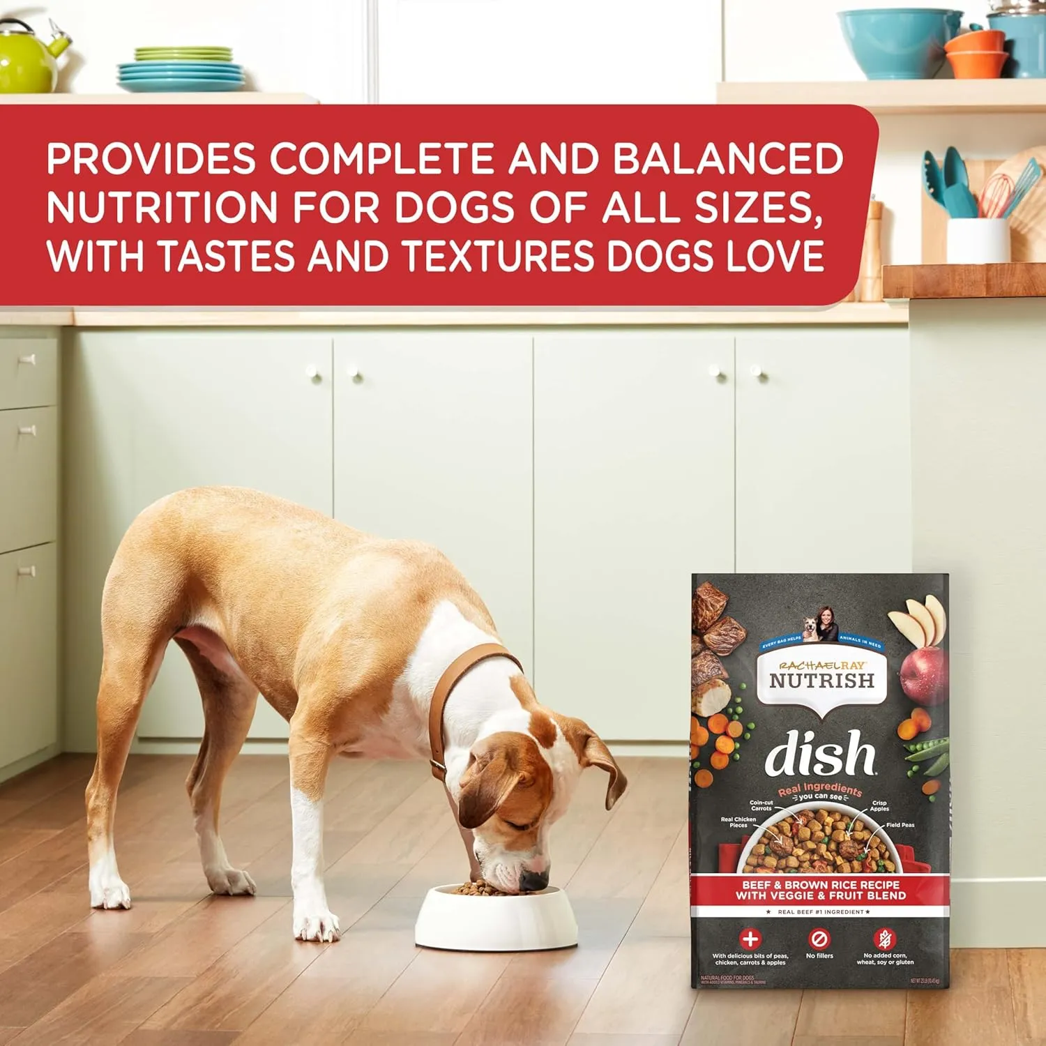 Rachael Ray Nutrish Dish Premium Natural Dry Dog Food with Added Vitamins, Minerals & Taurine, Beef & Brown Rice Recipe with Veggies, Fruit & Chicken, 23 Pound Bag