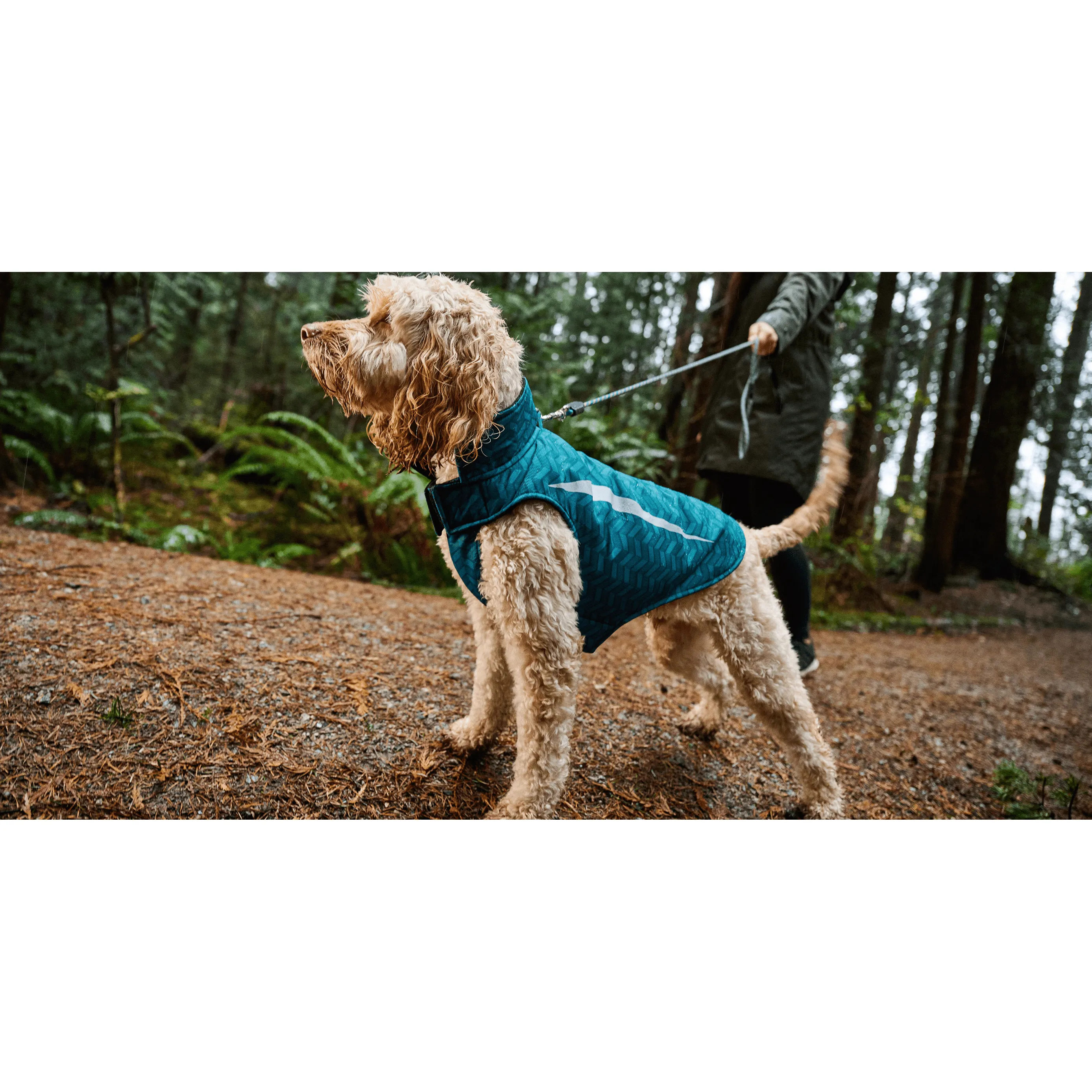 RC Dog Coat Shasta Dark Teal Chevron