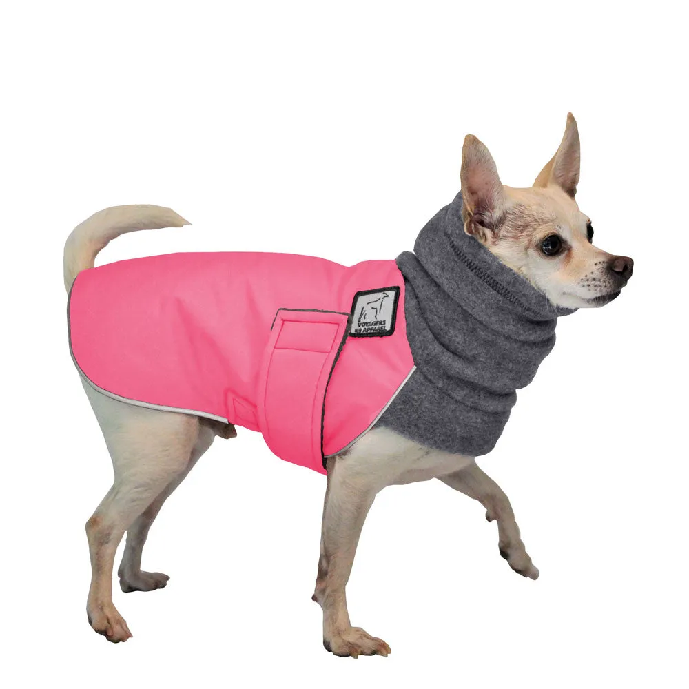 ReCoat ♻️ Chihuahua Winter Coat