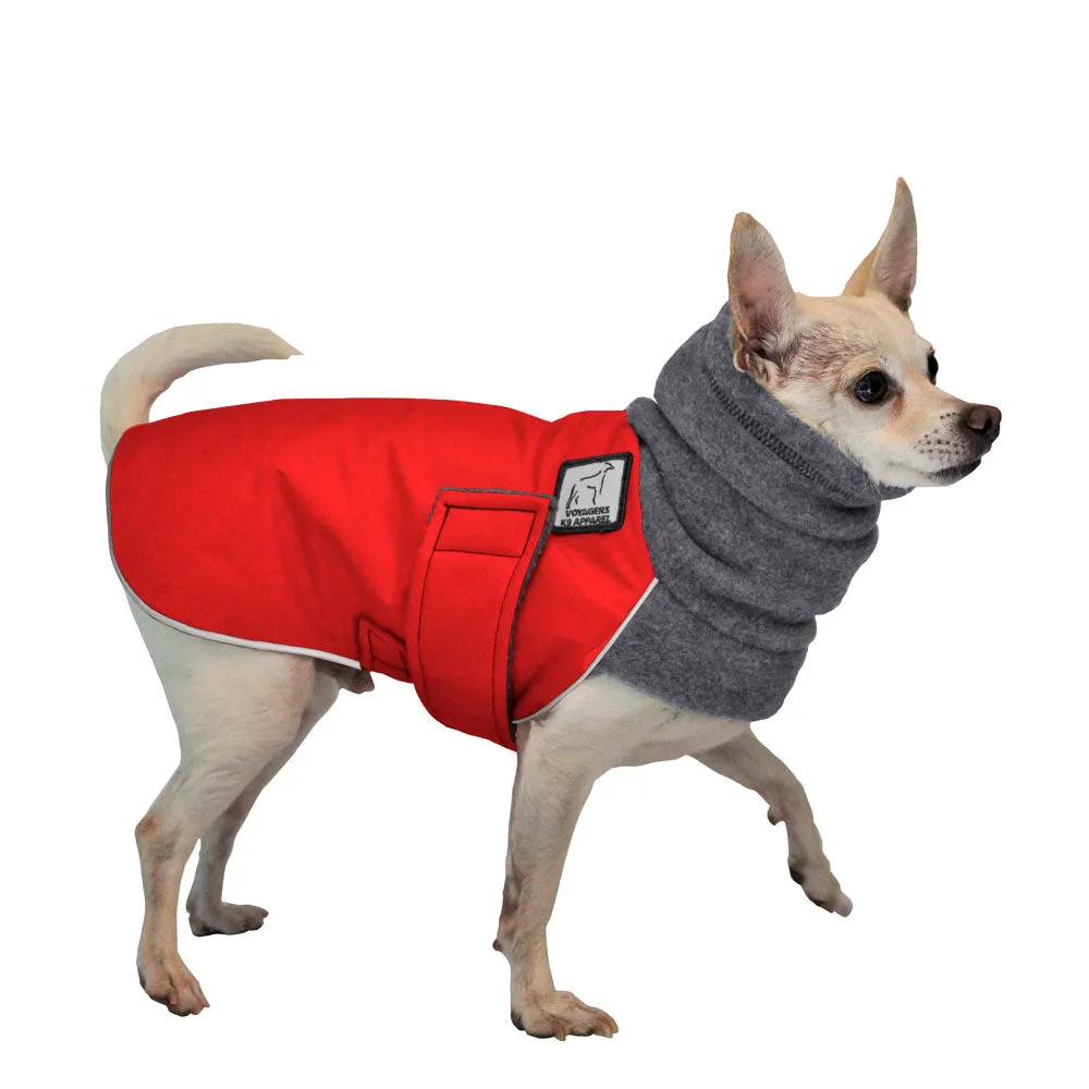 ReCoat ♻️ Chihuahua Winter Coat