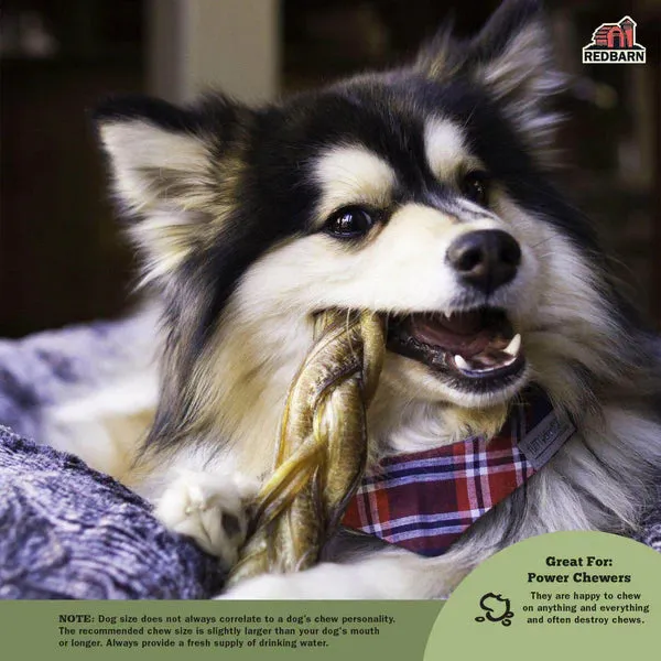 Red Barn Braided Bully Sticks