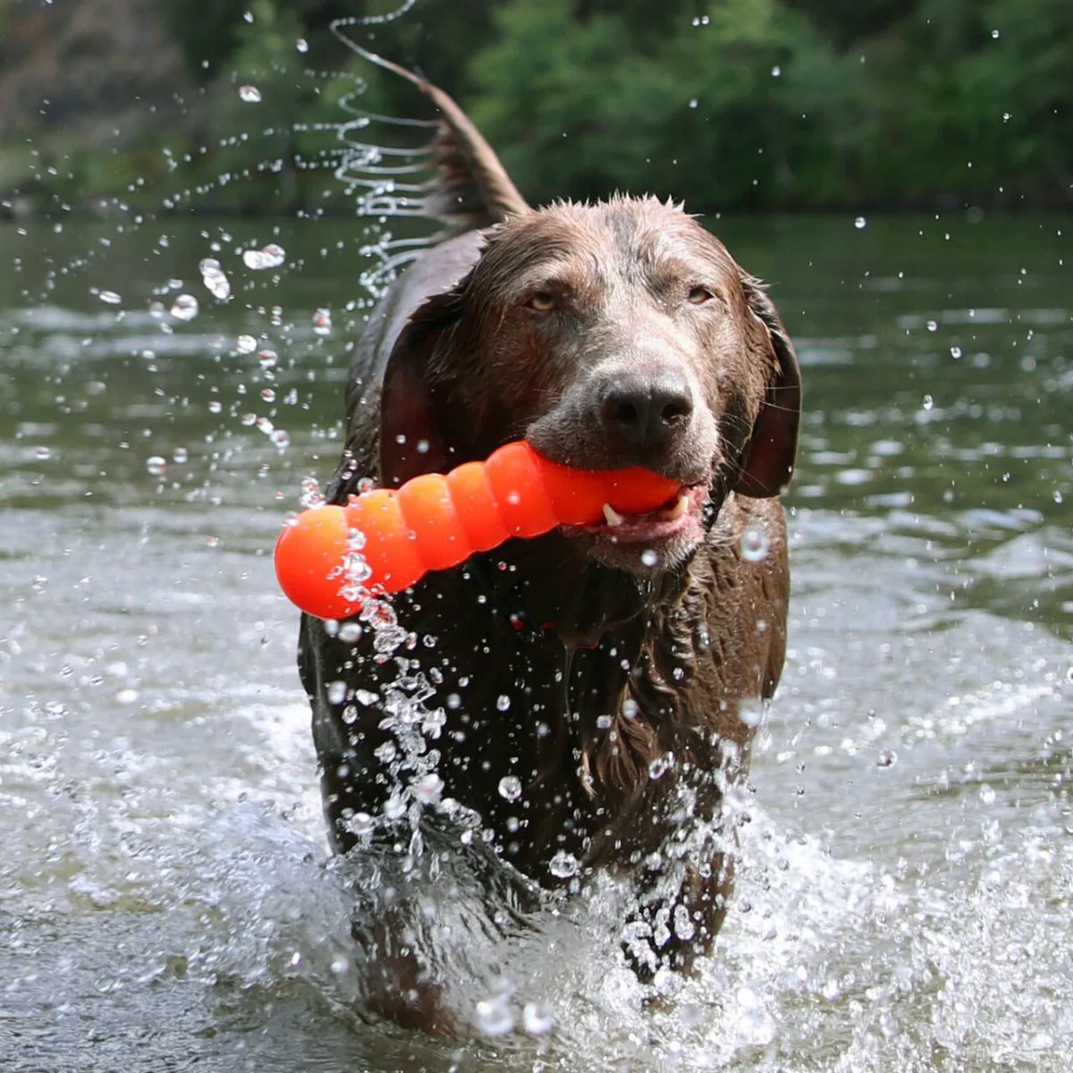 Ruff Dawg Indestructible Dawg-Buster