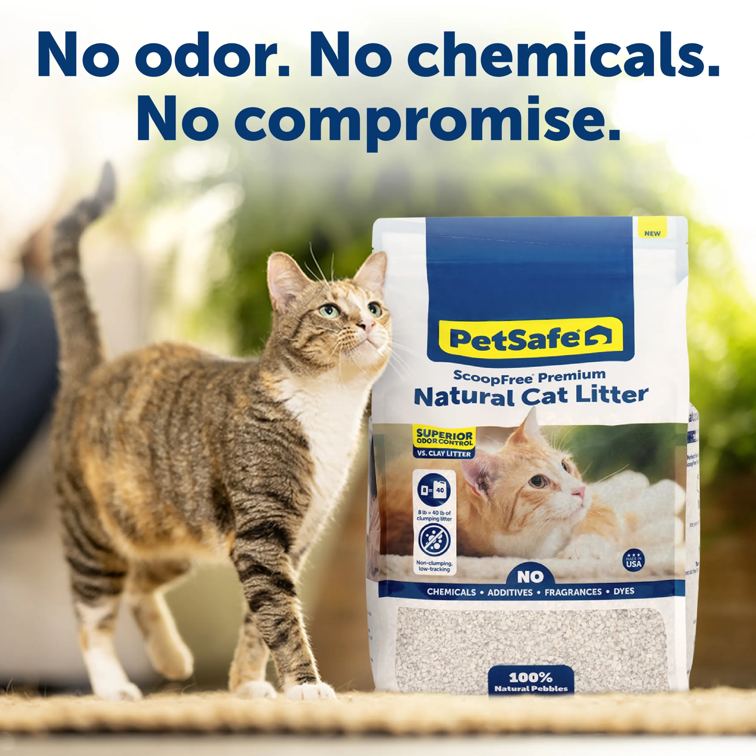 ScoopFree® Premium Natural Cat Litter 8 lb Bag
