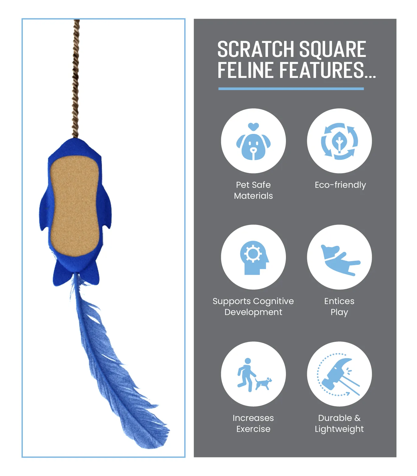 Scratch Square Feline