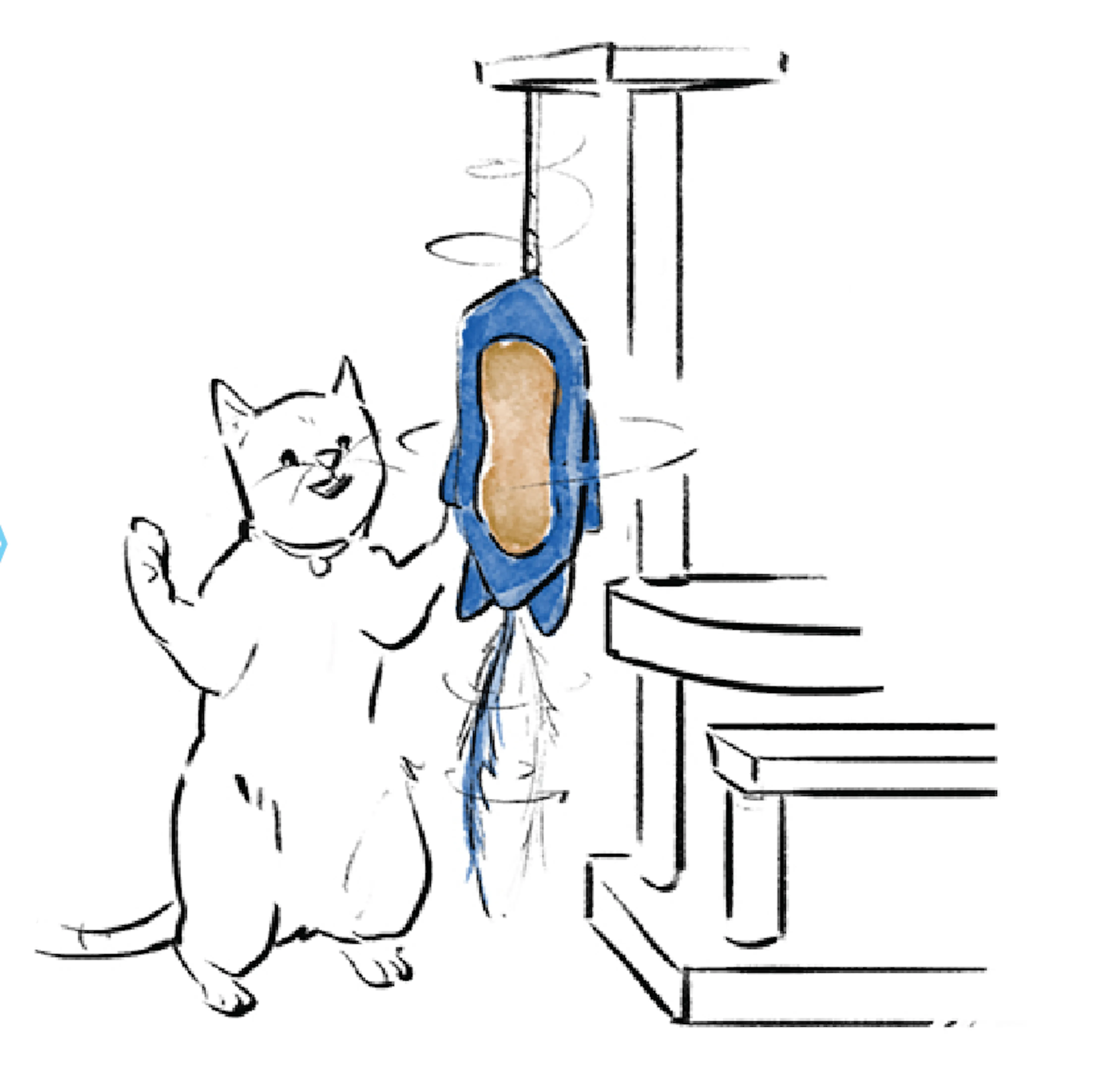 Scratch Square Feline