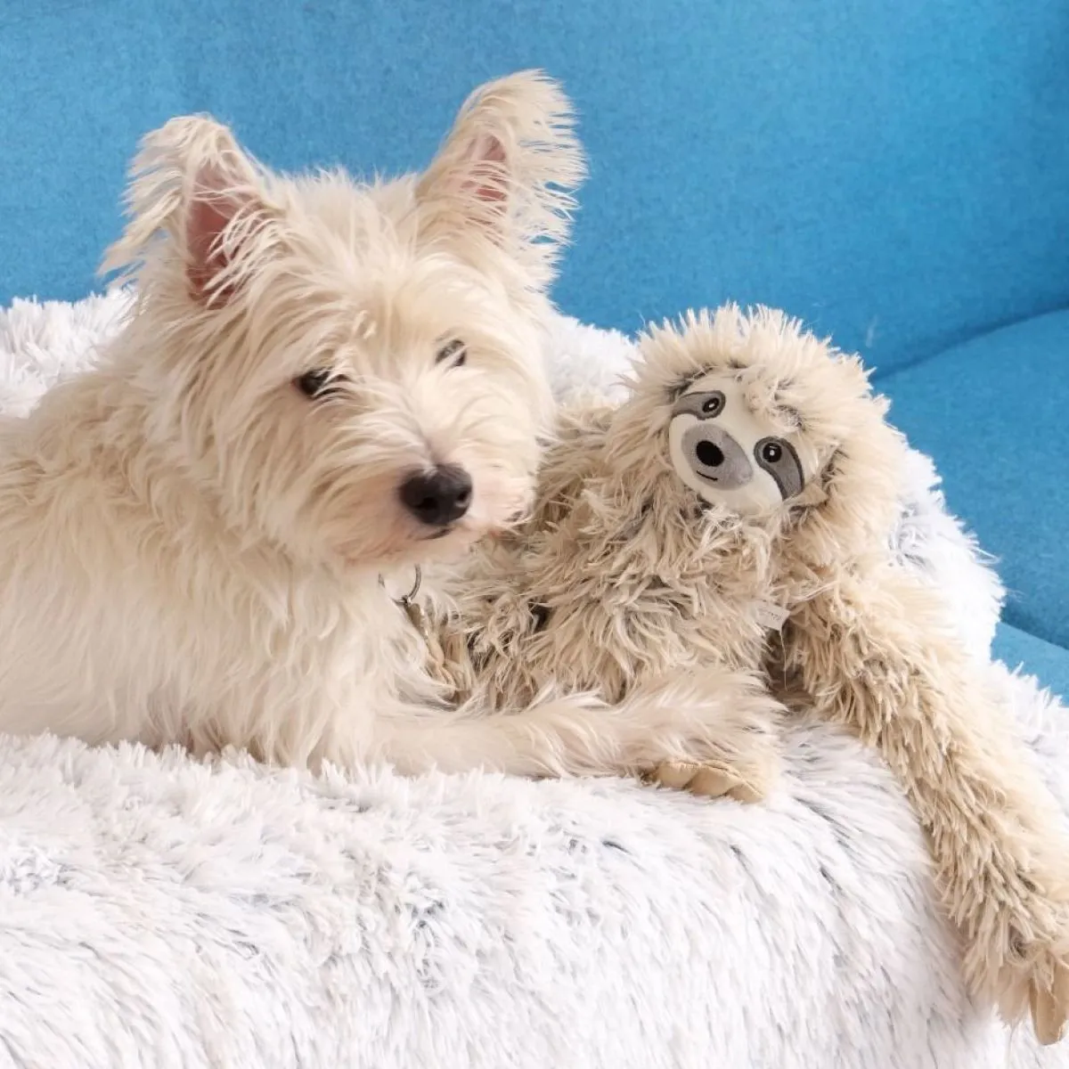 Tall Tails Dog Toy Rope Body Sloth