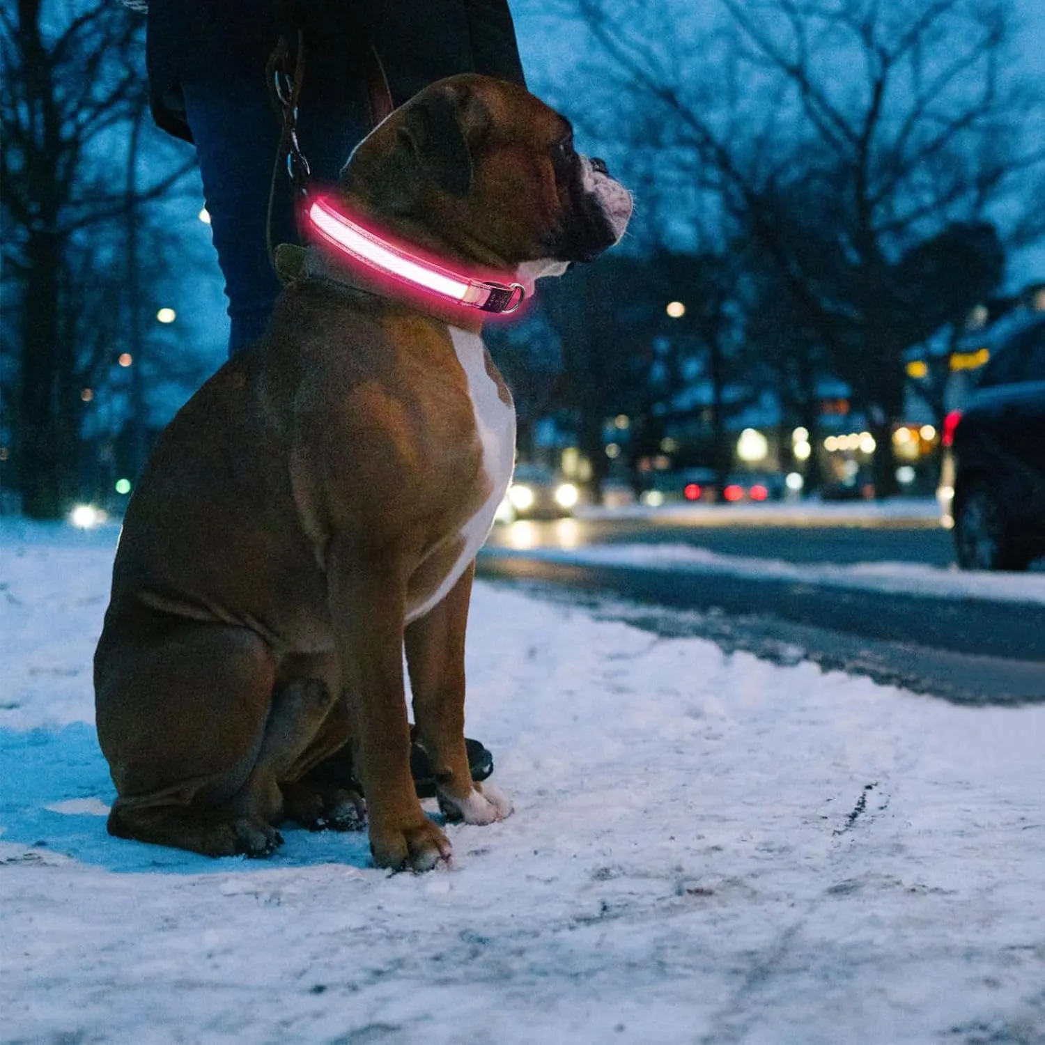 TDTOK LED Dog Collar Rechargeable Adjustable Durable Nylon Comfortable Light Up Collars for Small Medium Large Dogs with Reflective Lines Lightweight Plastic Buckle