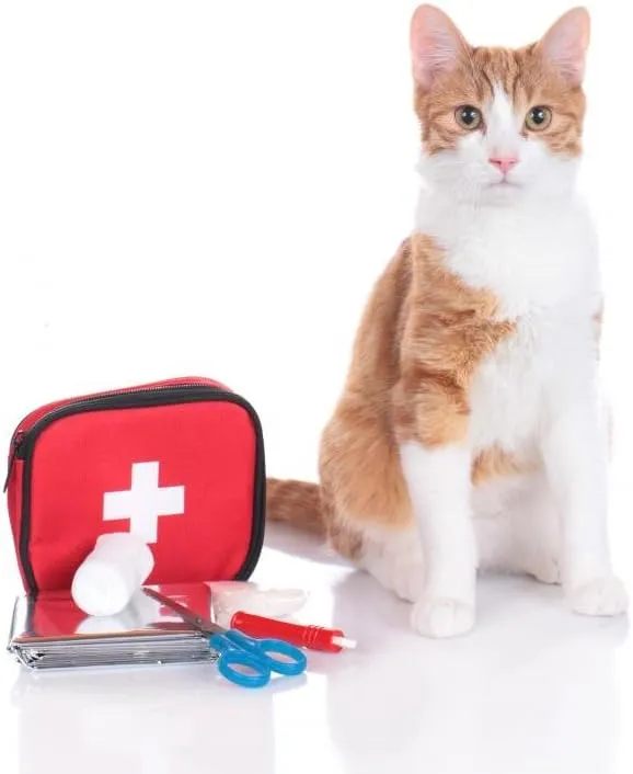 Wallmonkeys First Aid Cat Wall Decal Peel and Stick Graphic (36 in H x 24 in W) WM56868