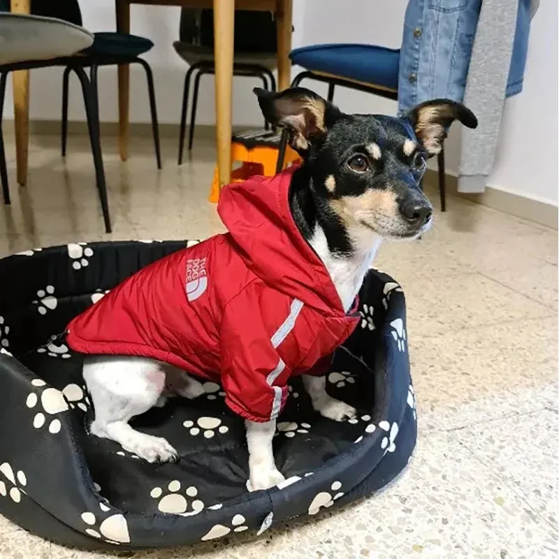 Waterproof Dogs Clothes Reflective Pet Coat for Small Medium